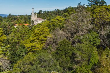 Portekiz'de topuk üzerinde tarihi bir saray oteli