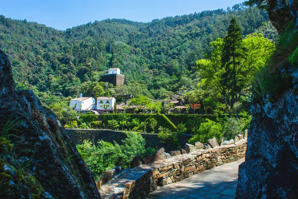 Şehvetli.