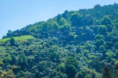 Şehvetli.