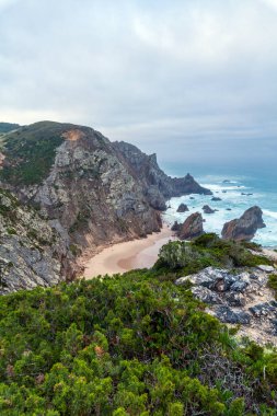 Gözlerden uzak, kumlu bir koy. Yükselen kayalıklar, çarpan dalgalar ve yumuşak, bulutlu bir gökyüzünün altında yemyeşil bir koy.