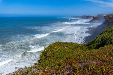 Sessiz bir kıyı yolu yemyeşil bitki örtüsü ve uzun kamışların arasından Atlantik Okyanusu 'ndaki açık mavi gökyüzünün altına doğru uzanır.
