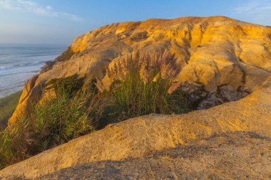 Altın güneş ışığı Praia da Mexicilhoeira 'nın engebeli kumtaşı uçurumlarını açık mavi gökyüzünün altında sakin bir okyanusa bakan rüzgârlı otlarla aydınlatır.