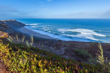 Praia das Conchas 'ın üstündeki açık mavi gökyüzü altında canlı yeşil ve kırmızı bitki örtüsü altında kumlu bir sahile çarpan turkuaz bir okyanus dalgasının manzarası.
