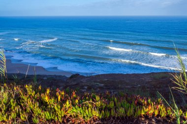 Büyük metal bir dinozor heykeli, yeşil çalılarla çevrili bir kavşakta duruyor. Parlak mavi bir gökyüzünün altında, dağınık bulutlarla. 