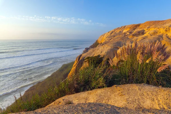 Altın güneş ışığı Praia da Mexicilhoeira 'nın engebeli kumtaşı uçurumlarını açık mavi gökyüzünün altında sakin bir okyanusa bakan rüzgârlı otlarla aydınlatır.