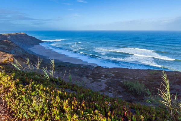 Praia das Conchas 'ın üstündeki açık mavi gökyüzü altında canlı yeşil ve kırmızı bitki örtüsü altında kumlu bir sahile çarpan turkuaz bir okyanus dalgasının manzarası.