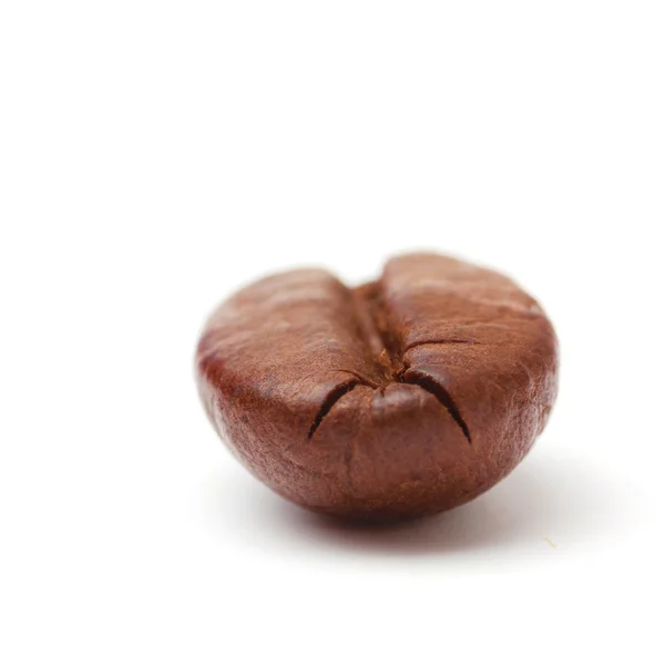 Coffee Bean Isolated White Background Soft Focus Closeup View — Stock Photo, Image