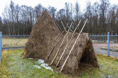 Lenin'in kulübe yakın göl Razliv, Leningrad region, Rusya Federasyonu