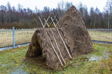 Lenin'in kulübe yakın göl Razliv, Leningrad region, Rusya Federasyonu
