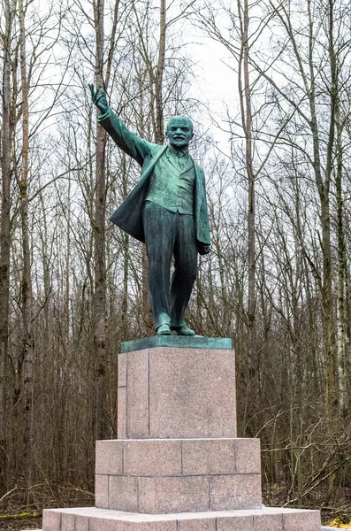 View Lenin Monument Razliv Lake Leningrad Region — Stock Photo, Image