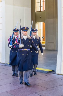 Hono bekçisi değiştirme törenine asker yürüyüşü