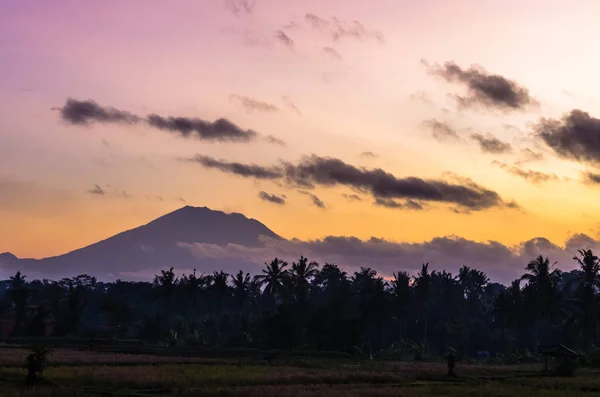Amazing sunrise view in Ubud, Bali, Indonesia