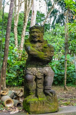 Kutsal Maymun Ormanı'ndaki Hindu tapınağındaki heykel