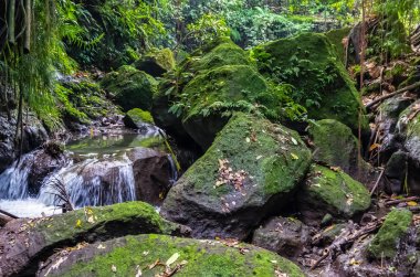 Ubud Sacred Monkey ormanda bir dağ nehri üzerinde görünümü