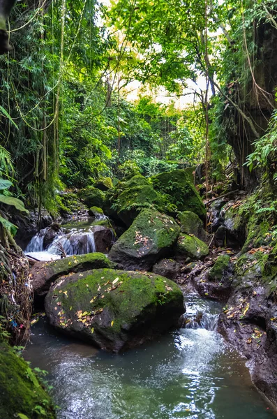 Vista sobre un río de montaña en el bosque del Mono Sagrado en Ubud —  Fotos de Stock