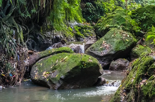 Vista sobre un río de montaña en el bosque del Mono Sagrado en Ubud —  Fotos de Stock