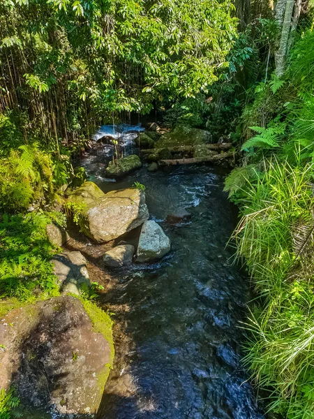 Widok na górskiej rzece w hinduskiej świątyni Pura Gunung Kawi AR — Zdjęcie stockowe