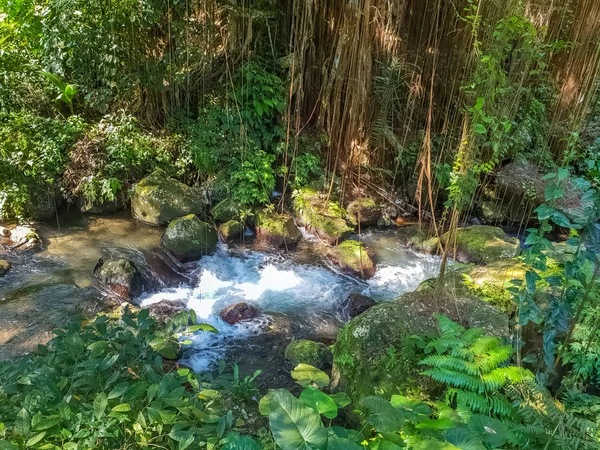 Vista sobre un río de montaña en el templo hindú Pura Gunung Kawi ar —  Fotos de Stock