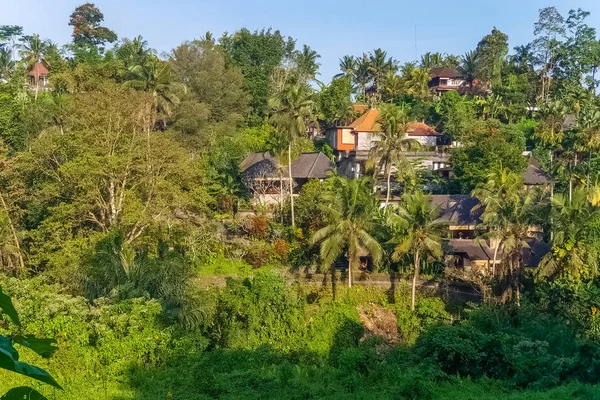 Vista do pôr do sol na selva e moradias em Ubud, Bali, Indonésia — Fotografia de Stock