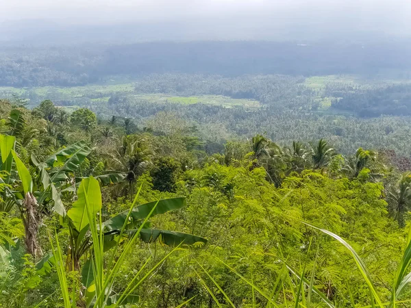 Top Näkymä Viidakkoon Hiihto Pilvet Vuorelta Klo Pura Lempuyang Luhur — kuvapankkivalokuva