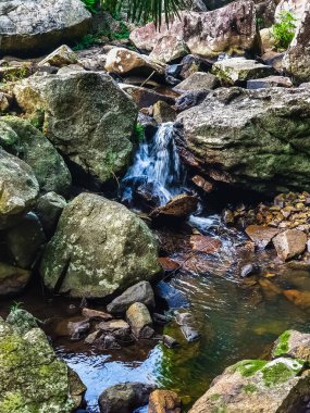 Yanoda yağmur ormanlarındaki şelale ve dağ nehri Kültürel Turizm Bölgesi, Hainan, Çin