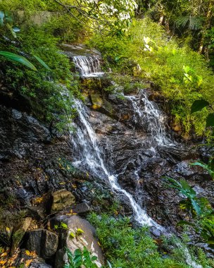 Yanoda yağmur ormanlarındaki şelale ve dağ nehri Kültürel Turizm Bölgesi, Hainan, Çin