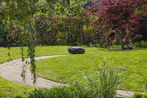 机器人草坪割草机在花园里自动工作 — 图库照片