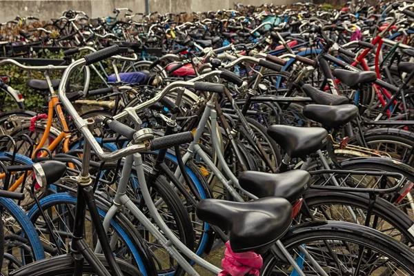 Leiden Países Bajos Abril 2019 Gran Aparcamiento Bicicletas Aire Libre —  Fotos de Stock