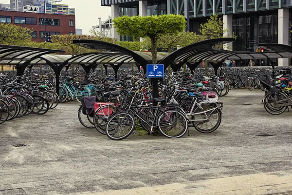 Leiden Países Bajos Abril 2019 Gran Aparcamiento Aire Libre Lleno —  Fotos de Stock