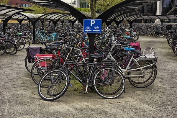 Leiden Países Baixos Abril 2019 Grande Estacionamento Bicicletas Livre Totalmente — Fotografia de Stock