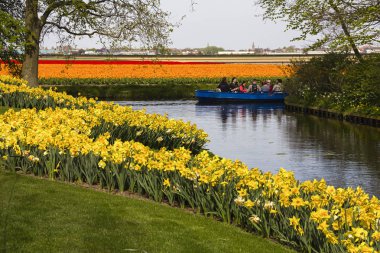 Keukenhof, Lisse, Hollanda - 18 Nisan 2019: Hollanda'nın dünyanın en büyük çiçek ve lale bahçe parkı olan Keukenhof çevresinde Whisper tekne gezisi. Hollanda'nın en popüler yerlerinden biri 