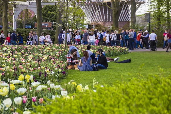 Keukenhof Lisse Nederländerna April 2019 Utsikten Över Olika Hörn Keukenhof — Stockfoto