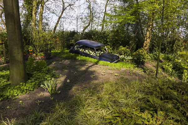 Keukenhof Lisse Países Bajos Abril 2019 Vista Del Macizo Flores —  Fotos de Stock