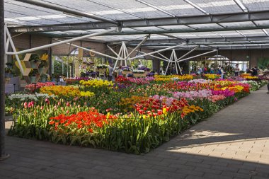 Keukenhof, Lisse, Hollanda - 18 Nisan 2019: Hollanda'nın dünyanın en büyük çiçek ve lale bahçe parkı olan Keukenhof parkında Willem-Alexander çiçekçi sergi salonunun görünümü. Hollanda'nın en popüler yerlerinden biri