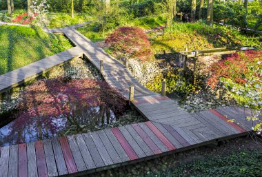 Keukenhof, Lisse, Hollanda - 18 Nisan 2019: Hollanda'nın dünyanın en büyük çiçek ve lale bahçe parkı olan Keukenhof parkının farklı köşelerine bakış. Hollanda'nın en popüler yerlerinden biri