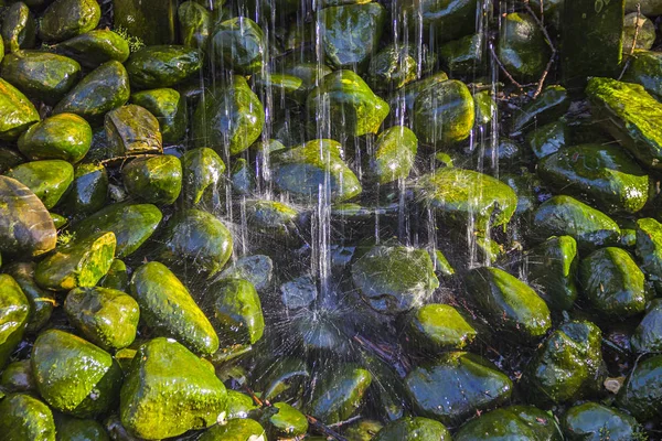 Acqua Del Ruscello Che Cade Vecchie Pietre Ricoperte Muschio Verde — Foto Stock