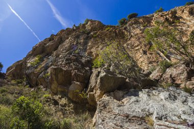 Stari Bar (Eski Bar), Karadağ, kenar mahalle doğası, dağlar, ormanlar 