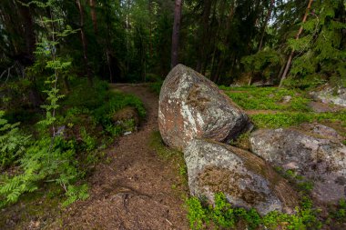 Rusya 'nın Vyborg kentindeki Monrepo Parkı' ndaki (Devlet Tarihi-Mimari ve Doğal Müze rezervi) patika manzarası