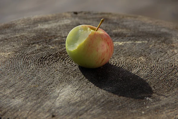A bitten fresh red apple laying on a stump in a garden