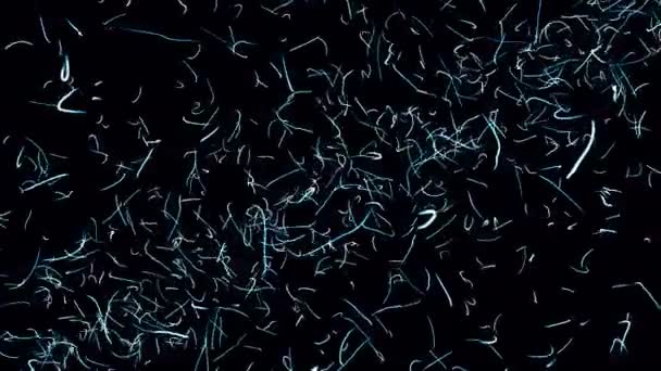 Абстрактная Анимация Стилизованное Пространство Движущимися Голубыми Отрезками Кривой Темном Фоне — стоковое видео