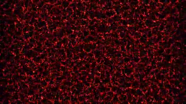 Абстрактная Анимация Стилизованное Пространство Движущимися Красными Частицами Огня Темном Фоне — стоковое видео