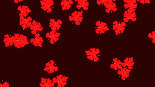 Feuilles d'érable d'automne rouge tombant sur un ordinateur de fond rouge foncé rendu 4k 