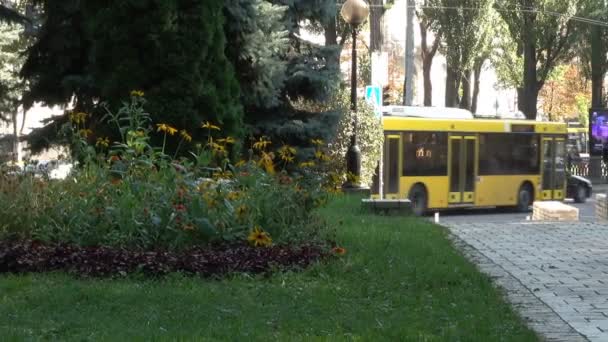 ウクライナ キエフ市の都市景観自然スケッチ 2018年 月とズーム効果します — ストック動画
