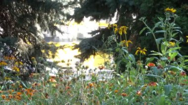 Doğal kroki, cityscape şehir Kiev, Ukrayna, Eylül yakınlaştırma ile 2018 etkisi