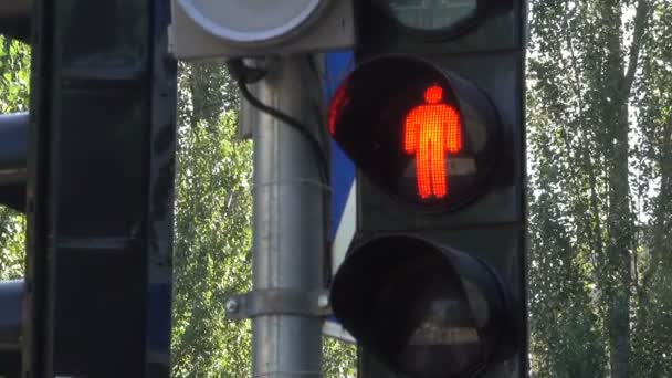 交通信号は 車の動きを調節してウクライナ キエフ市で歩行者 2018年 月とズーム効果 — ストック動画