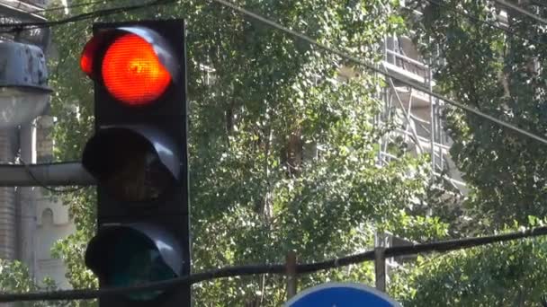 Traffic Light Regulates Movement Cars Pedestrians City Kiev Ukraine September — Stock Video