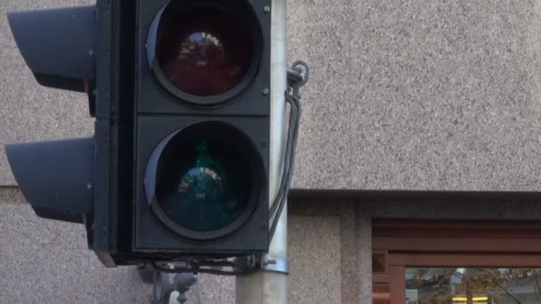 Traffic Light Regulates Movement Cars Pedestrians City Kiev Ukraine September — Stock Video