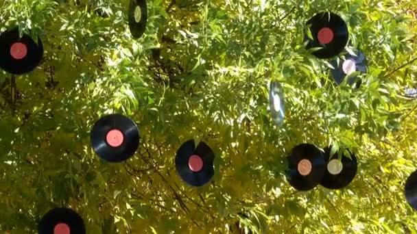 Des Vieux Disques Vinyles Soviétiques Sont Accrochés Des Branches Arbres — Video