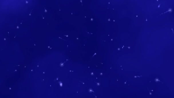 Fondo Azul Animado Abstracto Con Estrellas Estilizadas Movimiento Una Nebulosa — Vídeo de stock