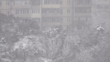 Kış video görüntüleri, sabah kar yağışı şehir, ağaçların dalları üzerinde kar, bulutlu hava yatıyor.
